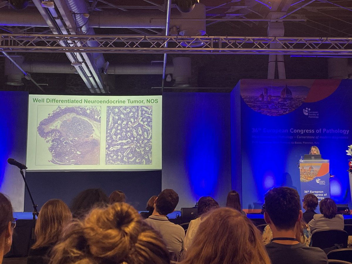 Adriana Zucchiatti tweet media