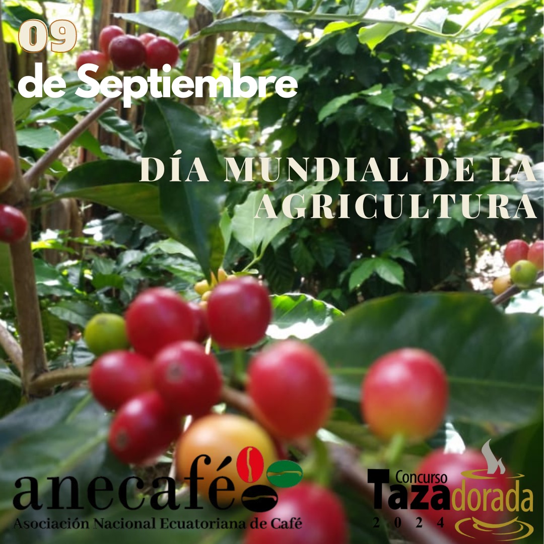 Día Mundial de la Agricultura 🌱🌍👏 Fecha de vital importancia para reconocer y valorar la importancia de apoyar a los agricultores, porque son los guardianes de nuestros recursos naturales. Gracias por la Agricultura y el café ecuatoriano!! ☕🫶🇪🇨 
#díamundialdelaagricultura