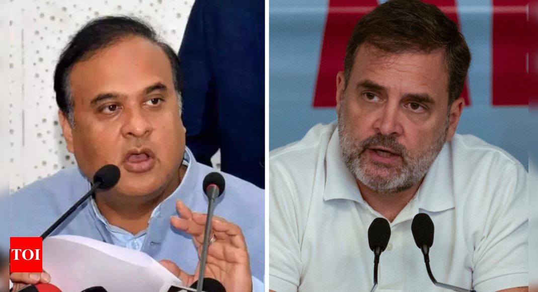 thereztlessmind's tweet photo. 'Rahul Gandhi always promotes China': BJP leaders lash out at LoP over his remarks in US https://t.co/dArDm5HIBG https://t.co/t3bexQvXNp