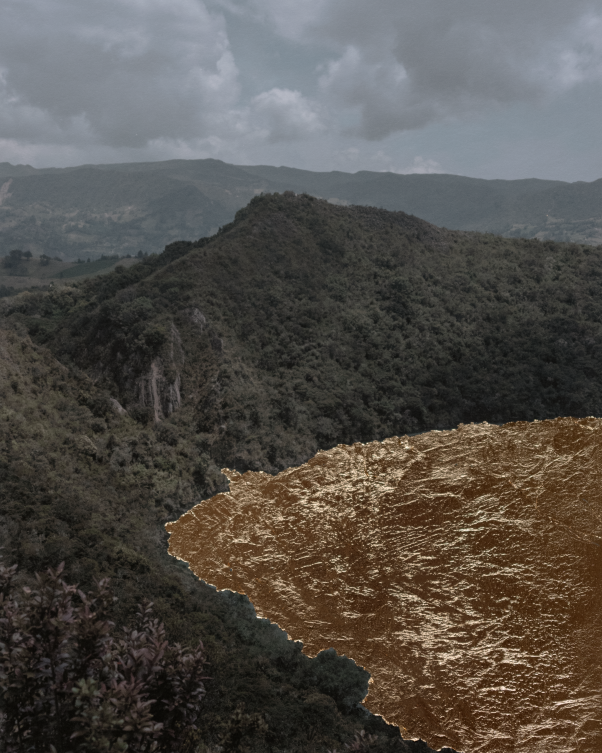 Valentino Bellini tweet media