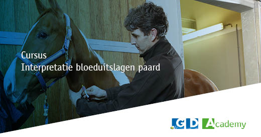Er zijn nog plaatsen vrij dus meld je aan voor de 𝐜𝐮𝐫𝐬𝐮𝐬 '𝐈𝐧𝐭𝐞𝐫𝐩𝐫𝐞𝐭𝐚𝐭𝐢𝐞 𝐛𝐥𝐨𝐞𝐝𝐮𝐢𝐭𝐬𝐥𝐚𝐠𝐞𝐧 𝐩𝐚𝐚𝐫𝐝' speciaal voor dierenartsen op 7 november. Ga voor meer informatie en aanmelden naar: gddiergezondheid.nl/bloeduitslagen…