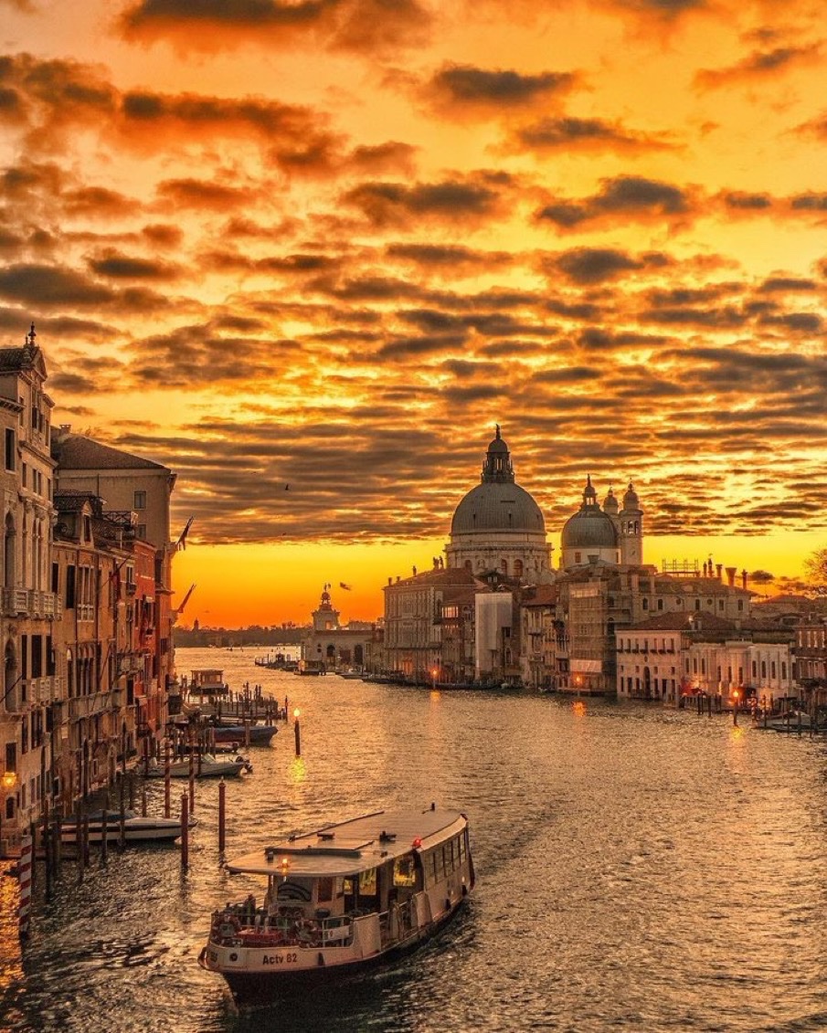 James Lucas tweet media