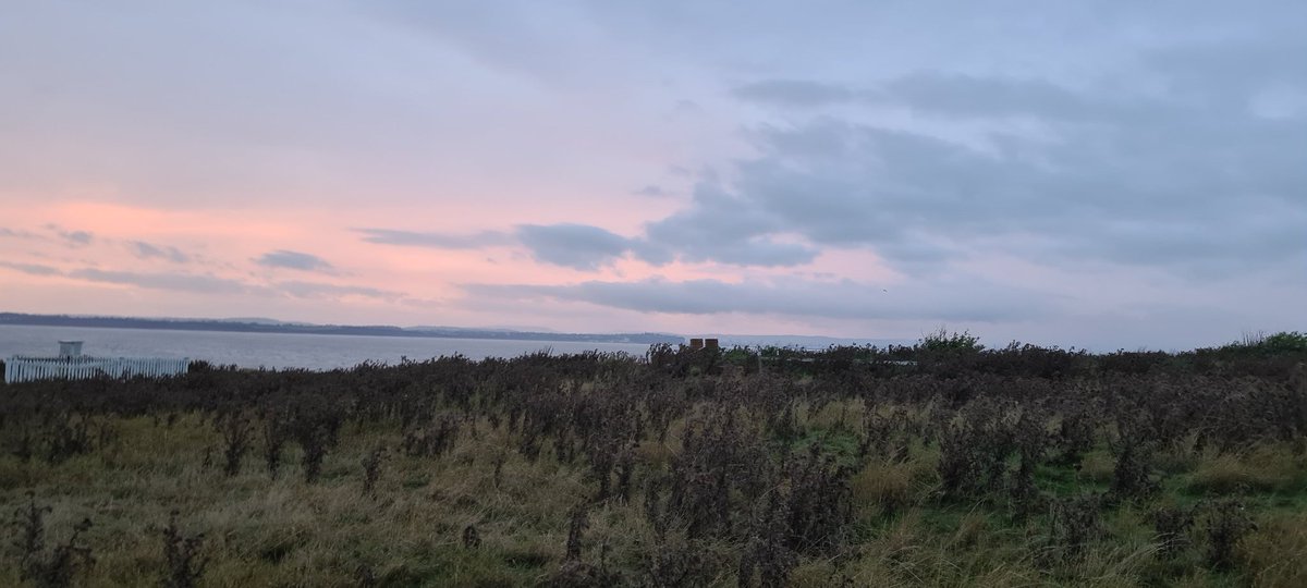 Castell Apothecary (@castelluk) on Twitter photo What a fascinating place <a href="/Flatholmers/">Flat Holm Island</a> thank you for an amazing weekend of #relaxation #restored #Revive #wellbeing. Your staff are amazing #knowledgeable and #welcoming ā¤ļø
#wales #FlatHolmisland What a fascinating place <a href="/Flatholmers/">Flat Holm Island</a> thank you for an amazing weekend of #relaxation #restored #Revive #wellbeing. Your staff are amazing #knowledgeable and #welcoming ā¤ļø
#wales #FlatHolmisland