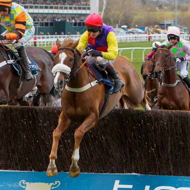 RacingPost's tweet photo. 🗣 "He won us the Gold Cup on the track - but I think we've got just as much of a thrill out of what he's achieved since he retired"

Lewis Porteous catches up with Native River and the starstruck team around him

Read for free 👇