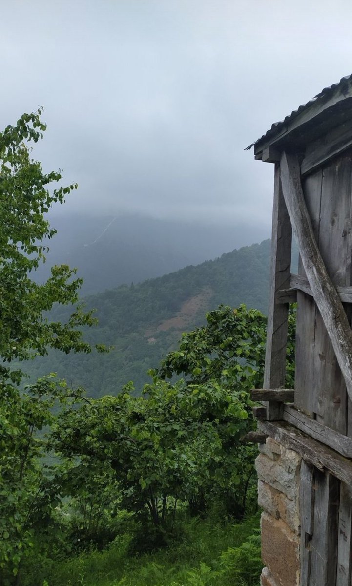 JSatawan's tweet image. Peace 😌😌