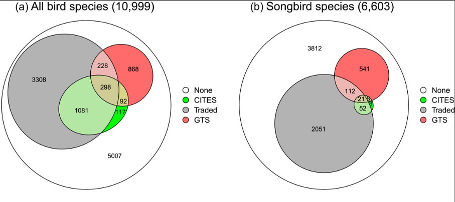What is the scale of the global wild bird trade? New paper led by BirdLife is the first attempt to quantify and map the relative prevalence in trade of all bird species globally: dx.doi.org/10.1111/cobi...