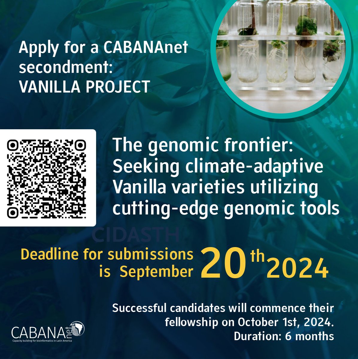 CABANAnet tweet media