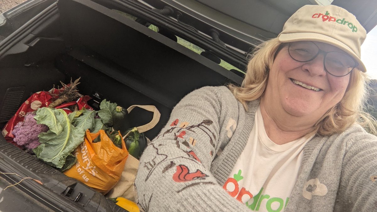 Thank you so much <a href="/RootsAllotments/">Roots Allotments</a> holders for this week's super stash of donations (and for all donations since June!):

Cucumbers, beetroots, cool purple caulis the bountiful enthusiastically grown courgettes!

These went to @Weston_hub chefs and <a href="/MercyinActionUK/">Mercy in Action</a> pantry.