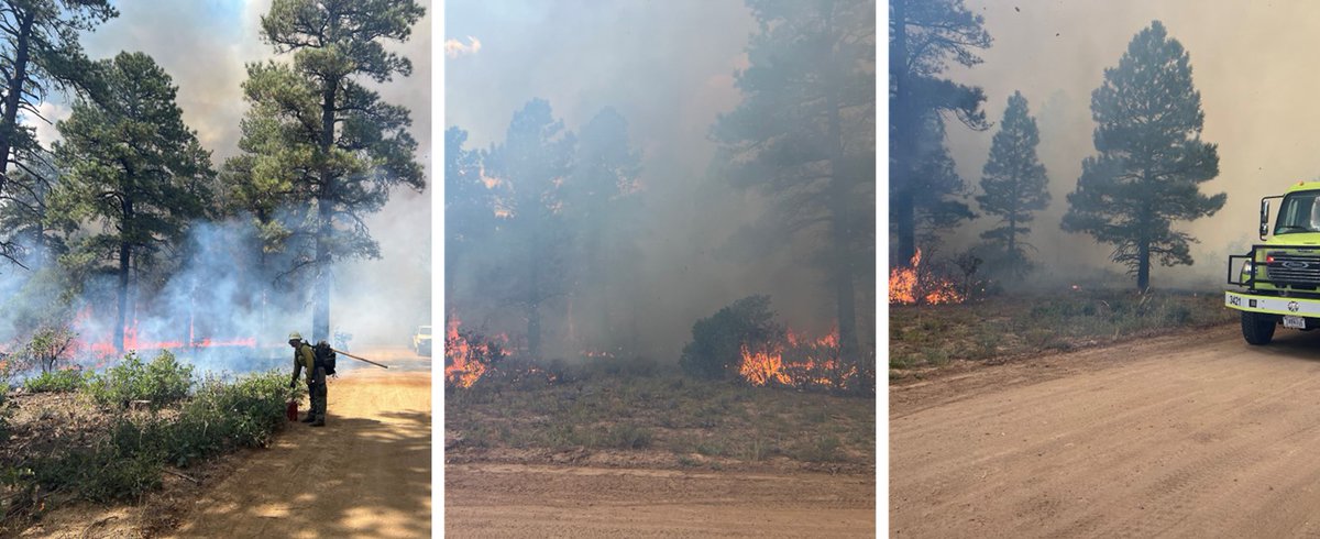 BLM fire personnel are postponing treatments on West Dolores Rim until conditions can accomplish burn objectives and maximize public and firefighter safety. Crews treated 331 acres in Unit 3 on Saturday. View map and full announcement on the BLM website: ow.ly/PEn150ThYkH.