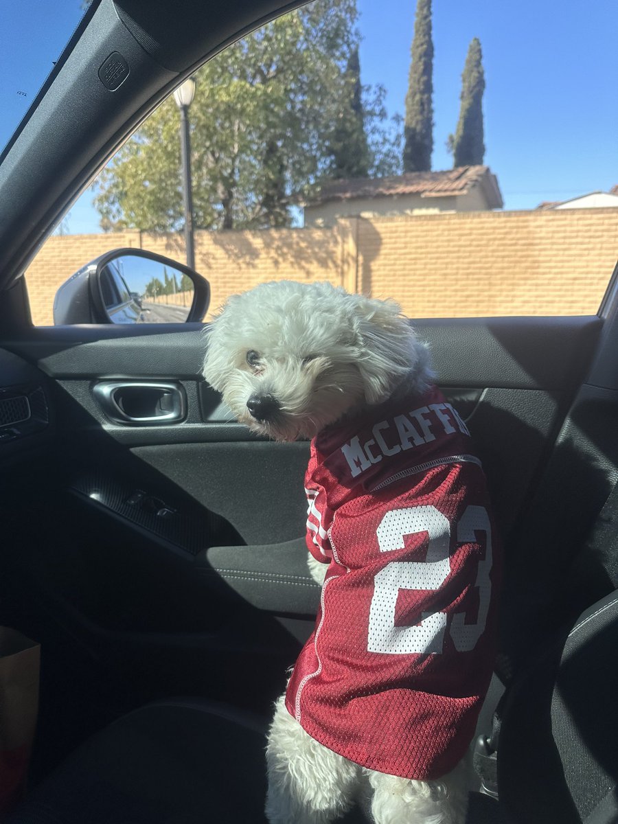 Cesar Lopez (@cesar_lopez44) on Twitter photo My dog is locked in for tonight #49ers #football <a href="/49ers/">San Francisco 49ers</a> <a href="/CMC_22/">Christian McCaffrey</a> My dog is locked in for tonight #49ers #football <a href="/49ers/">San Francisco 49ers</a> <a href="/CMC_22/">Christian McCaffrey</a>