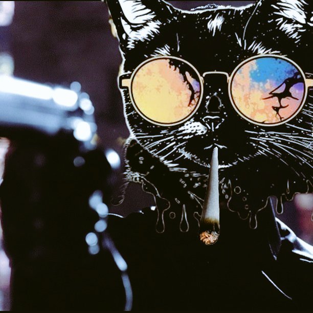 <a href="/elonmusk/">Elon Musk</a> It's gone to far 🔫