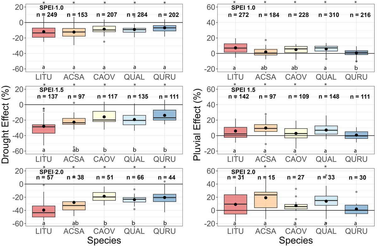 Global Change Biology (@globalchangebio) on Twitter photo OUT NOW
Asymmetric effects of hydroclimate extremes on eastern US tree growth: Implications on current demographic shifts and climate variability
📄 onlinelibrary.wiley.com/doi/full/10.11… <a href="/L_tulipifera/">Justin Maxwell</a> OUT NOW
Asymmetric effects of hydroclimate extremes on eastern US tree growth: Implications on current demographic shifts and climate variability
📄 onlinelibrary.wiley.com/doi/full/10.11… <a href="/L_tulipifera/">Justin Maxwell</a>