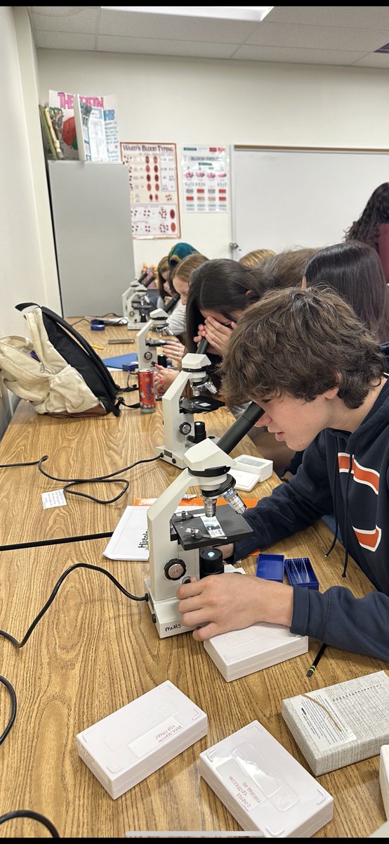 McCollomScience's tweet photo. Students in Coach Phillip’s Anatomy &amp; Physiology classes compare and contrast the four tissue types. ⁦@McKinneyNorthHS⁩ #ThisIsNorth #curiouscreativeconnected https://t.co/jmZBcN2cbq