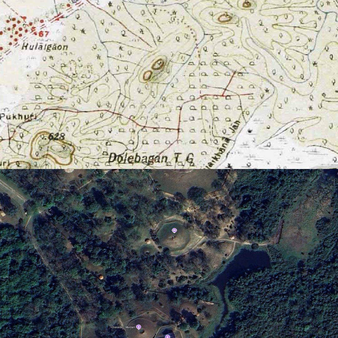 MAHSA Project tweet media