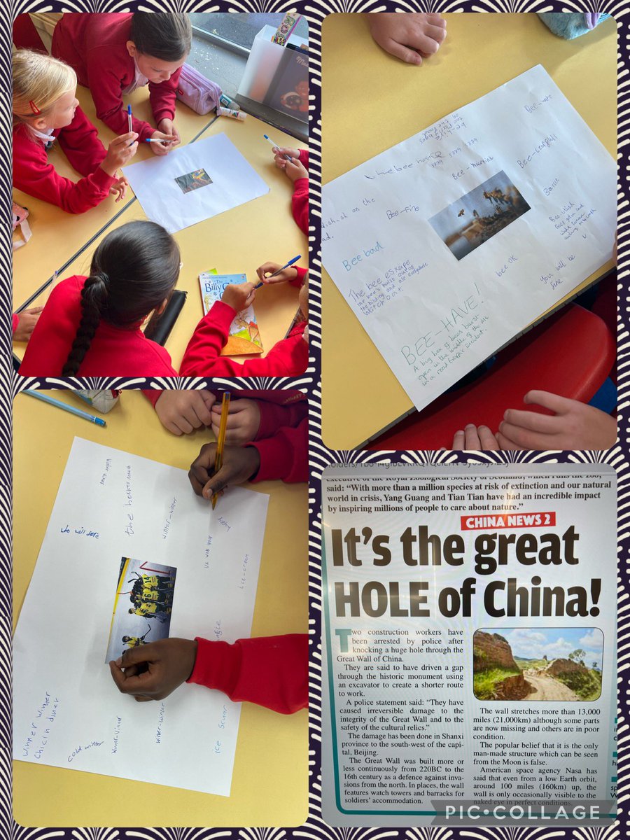 SJ Maples 5SJM tweet media