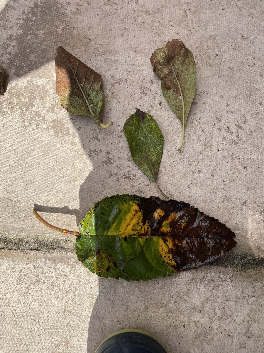 A lovely day ☺️ #HappyMonday 

<a href="/OU_EChildhood/">OU Early Childhood</a> <a href="/EarlyWales/">Early Years Wales</a>