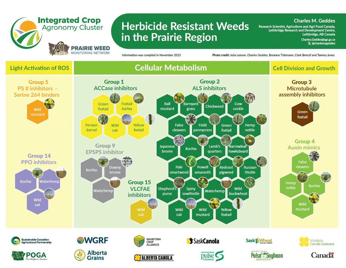 Partner with your friendly neighborhood weed scientist to understand herbicide-resistant (HR) weed issues on your farm! We offer free diagnostics for any suspected novel HR weeds. Novel resistance is defined by anything not included in this fact sheet.  Message me for more info.