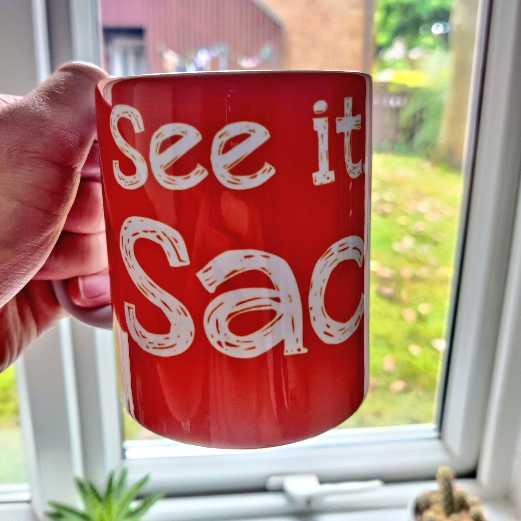 it's one side of an orange mug that reads "see it, say it, sacked" and it's being held up in front of a window with some cacti in shot