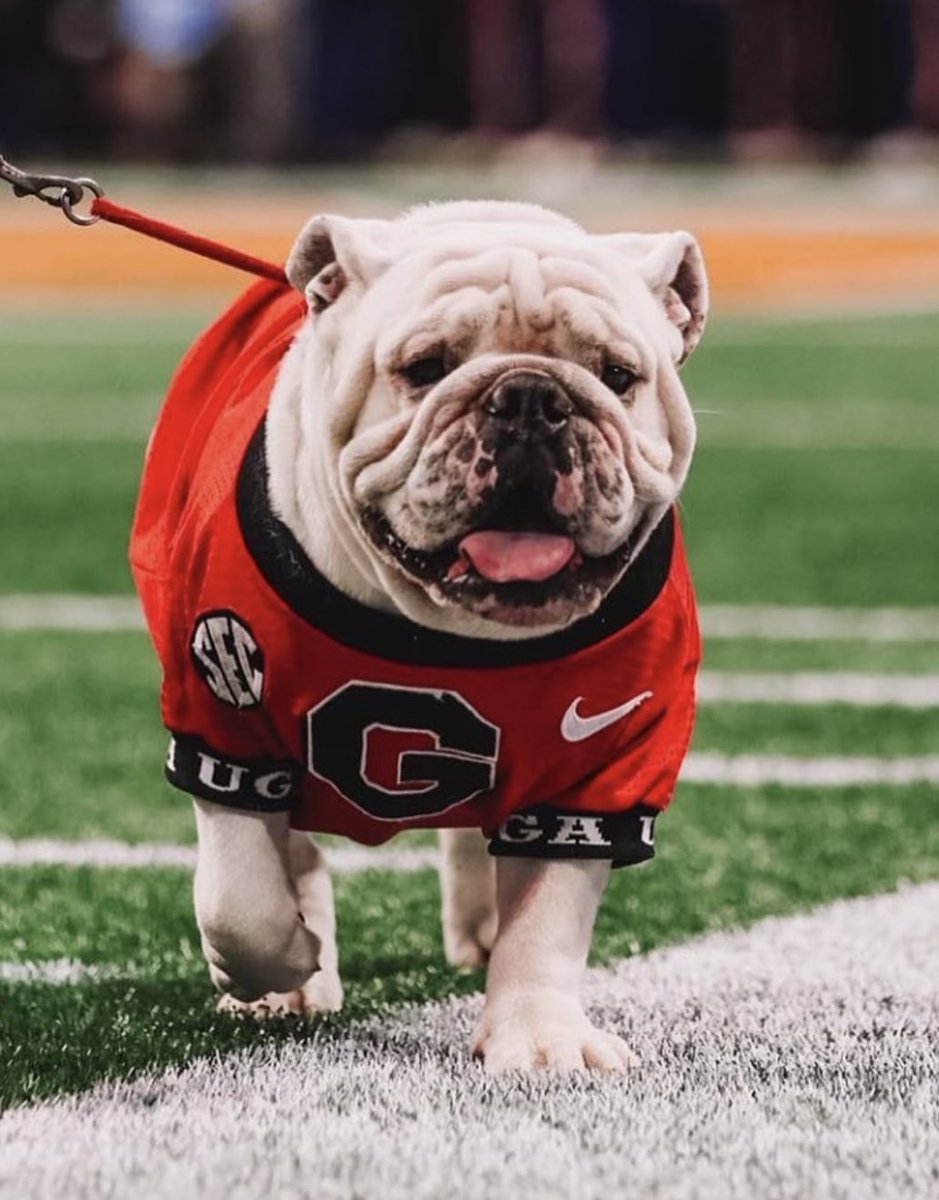 Best mascot in the country! #GoDawgs