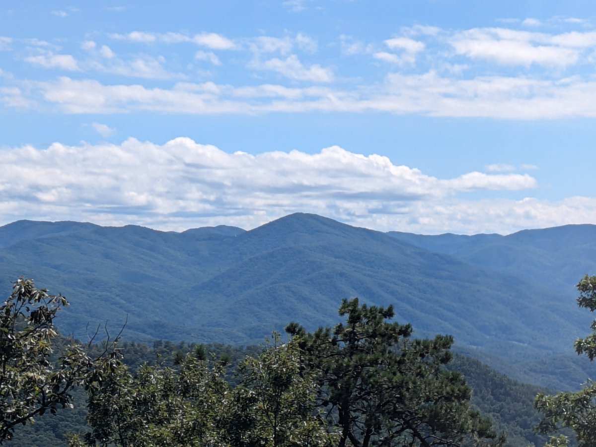 Gautam Shirsekar tweet media