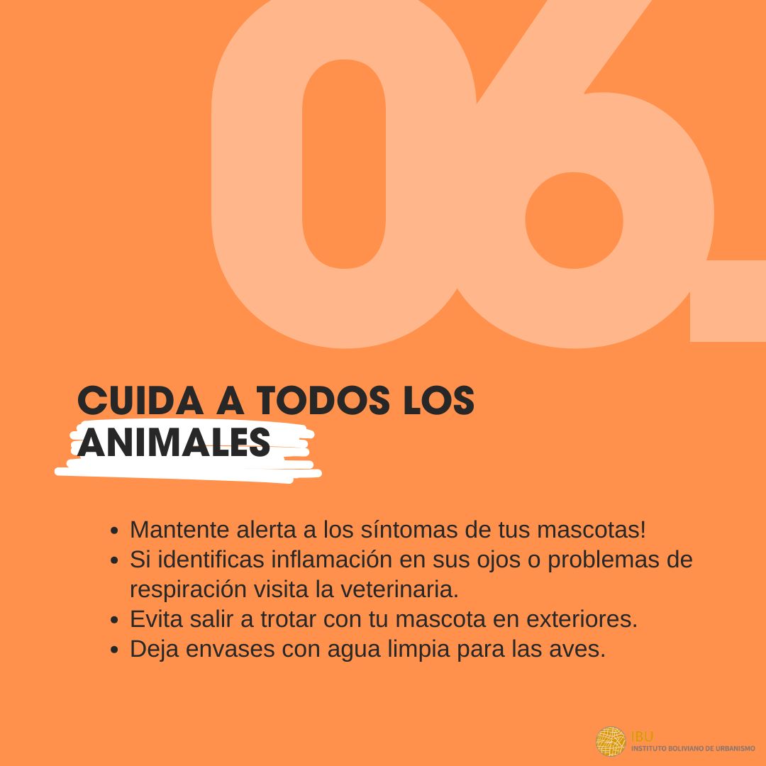 Instituto Boliviano de Urbanismo tweet media