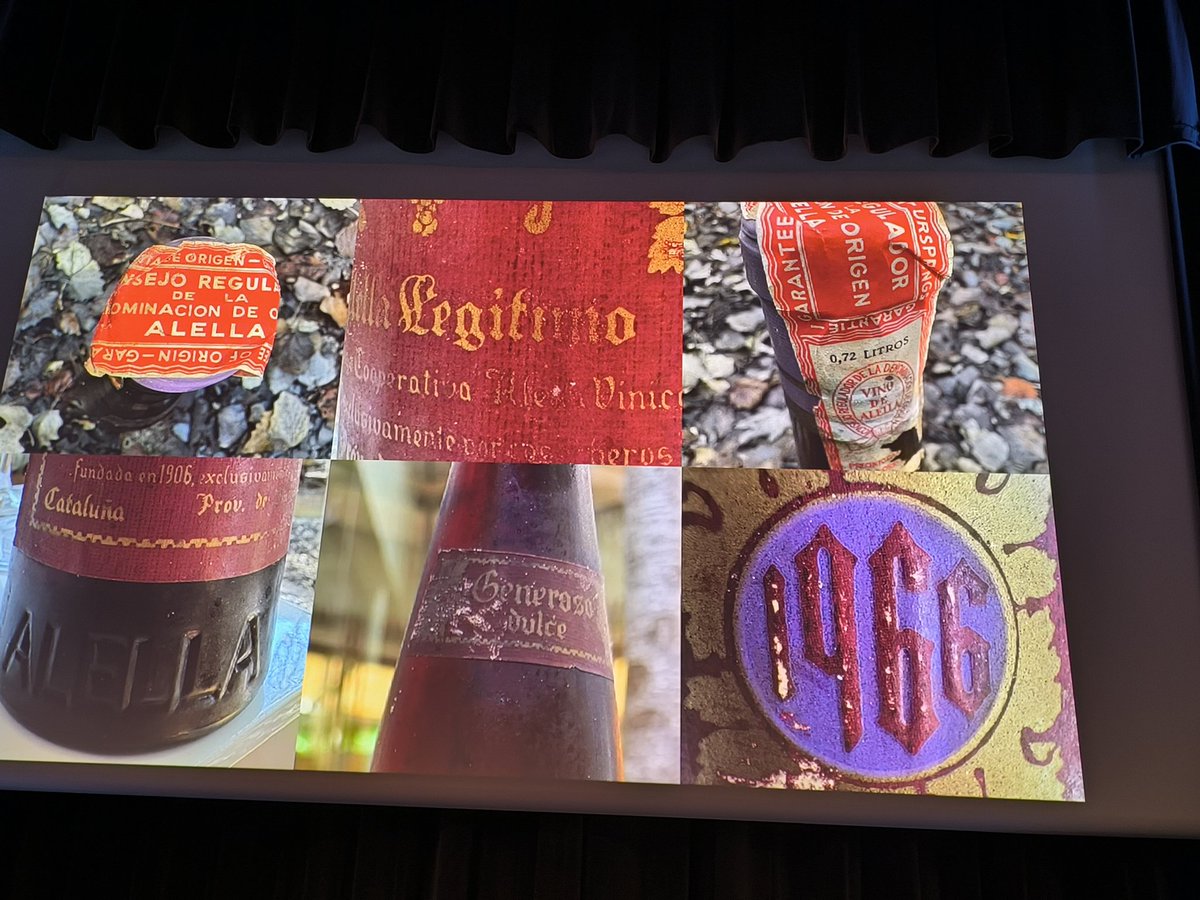 Tast especial i magistral de <a href="/JosepPituRoca/">Josep Roca Fontané</a> en un dels actes centrals de la 50a edició de la Festa de la Verema d'Alella. Un recorregut per la vida amb el vi d'Alella com a fil conductor. #VeremAlella #terrapansablanca <a href="/alella_do/">DO Alella</a> <a href="/terrapansablanc/">La Terra de la Pansa Blanca - Ruta Vi DO Alella</a>