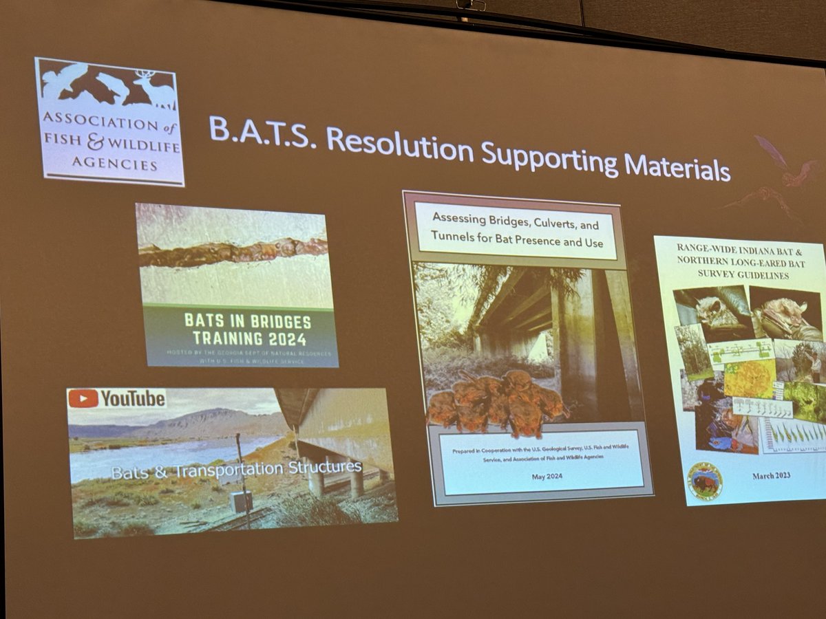 bethpratt's tweet image. Learning at #NETEC about how to build good wildlife crossing and transportation infrastructure projects with bats in mind. Fascinating stuff!