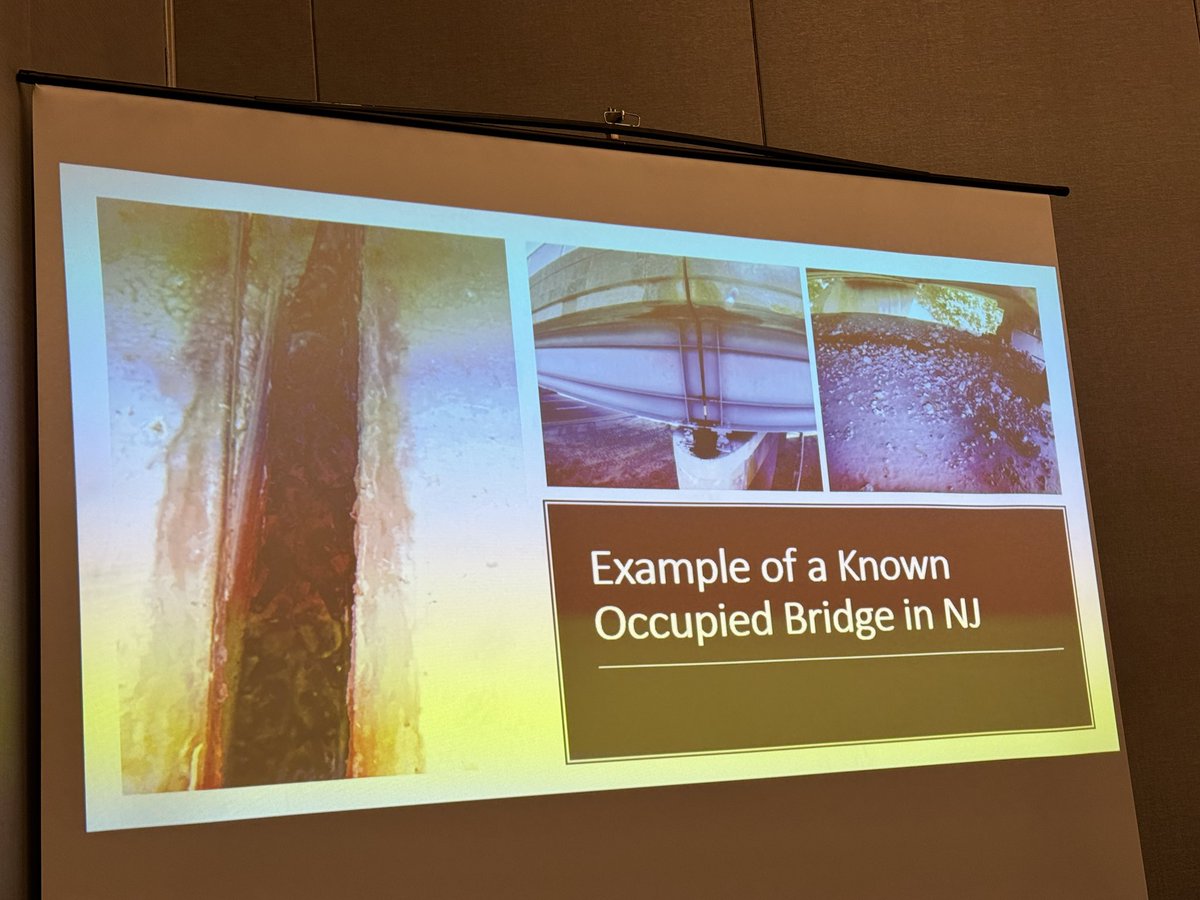 bethpratt's tweet image. Learning at #NETEC about how to build good wildlife crossing and transportation infrastructure projects with bats in mind. Fascinating stuff!