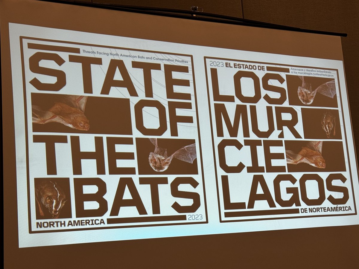 bethpratt's tweet image. Learning at #NETEC about how to build good wildlife crossing and transportation infrastructure projects with bats in mind. Fascinating stuff!