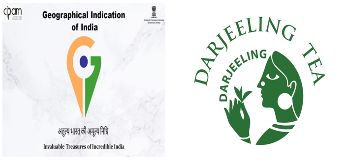 DarjeelingTrvl's tweet image. In 2004, Darjeeling tea earned a GI (Geographical Indication) tag. This ensures that only tea from Darjeeling can be called "Darjeeling tea," protecting its authenticity.
#AuthenticTea #GITea #DarjeelingGI