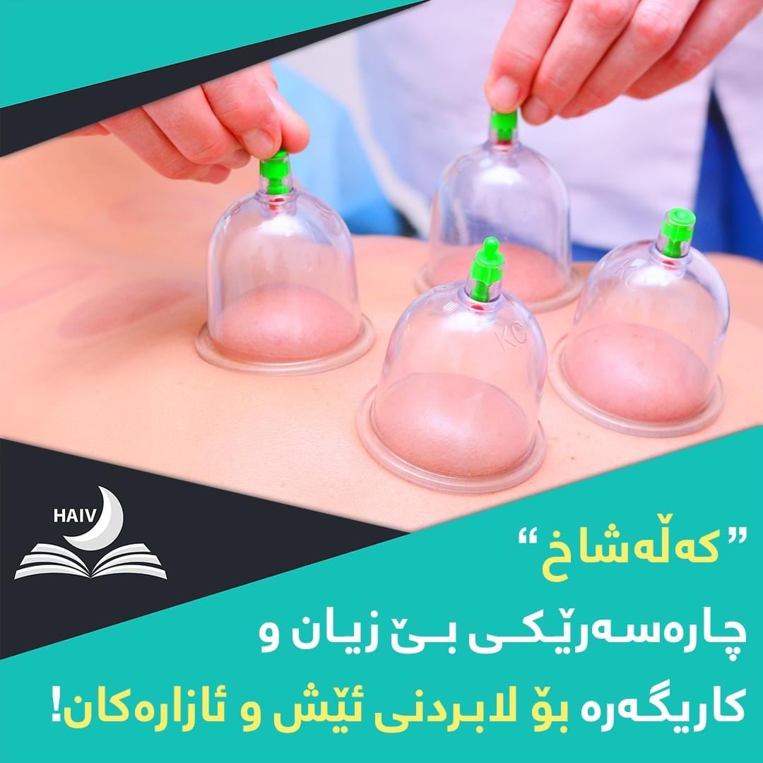 HaivMagazine's tweet image. دواى ئه‌وه‌ى تيمێكى هاوبەشى ئەڵمانى و نەرويجى توێژينەوەيەكيان لەسەر (50) نەخۆش ئەنجامدا كە ئازارى مليان هەبوو.. گەيشتن بەو دەرەنجامەى كه‌: "كەڵەشاخ چارەسەرێكى بێ زيان و كاريگەرە بۆ لابردنى ئازار و باشتركردنى جۆرى ژيانى ئەو نەخۆشانەى كە ئازارى مليان هەيە.