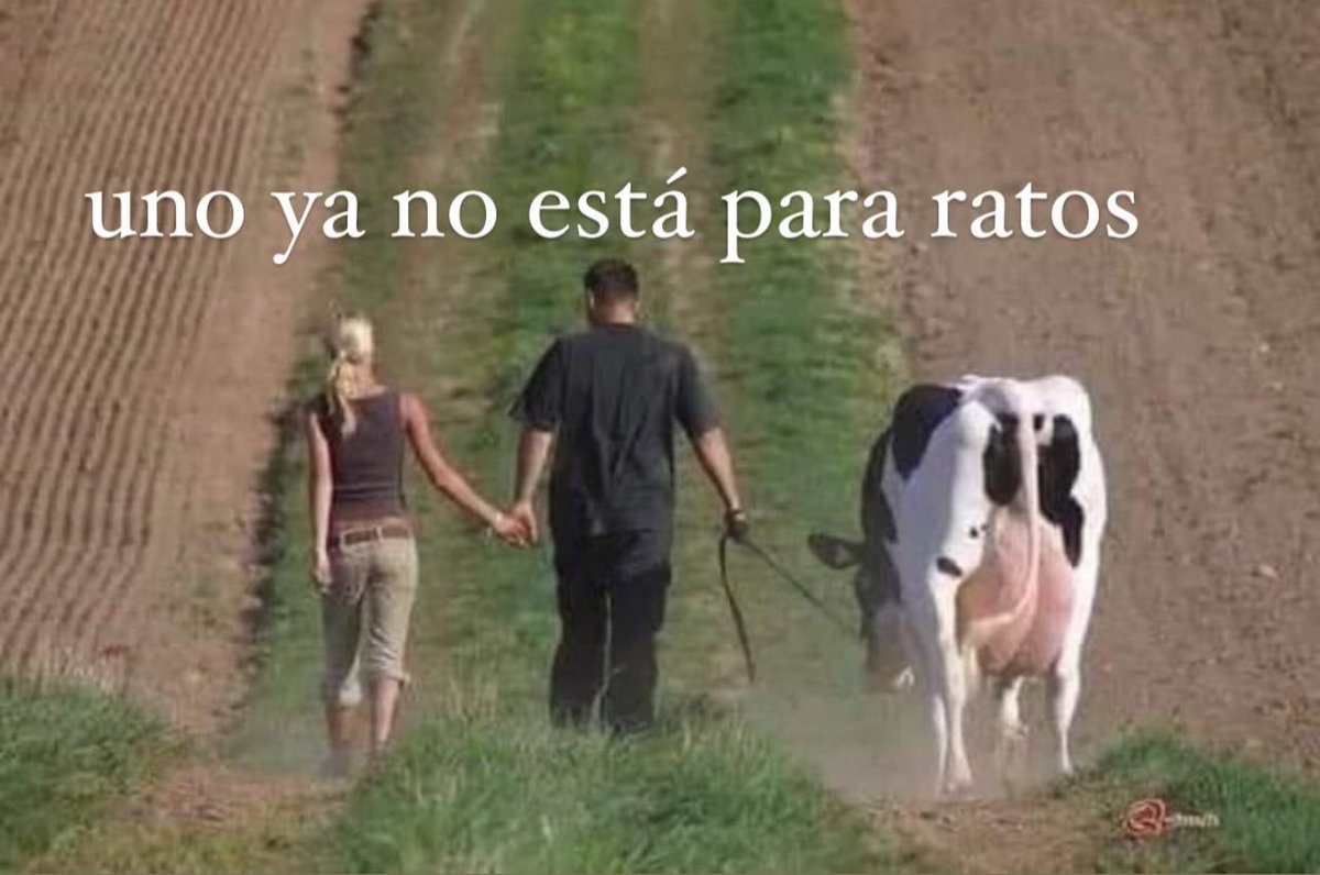 emociones amarillas (@conoloracigarro) on Twitter photo 