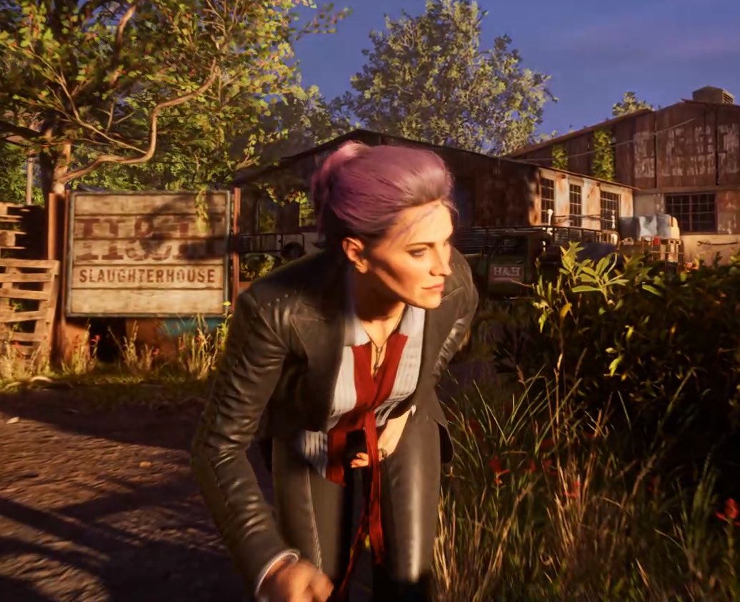 🦔 lyle tweet media