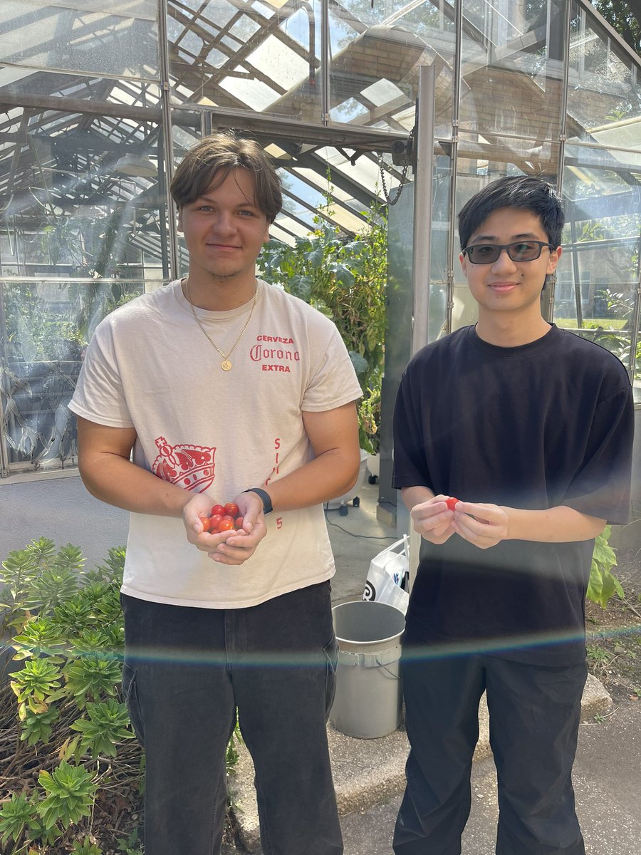 James McCabe tweet media