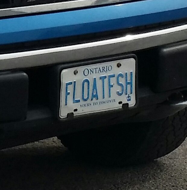 AlienAlien117's tweet photo. @fishinniagara @LakeErieNorth @Niagara_411 @mikecejka4 @weathernetwork The warm up begins tomorrow, right through the weekend #gofishin https://t.co/dBH752ZWXz
