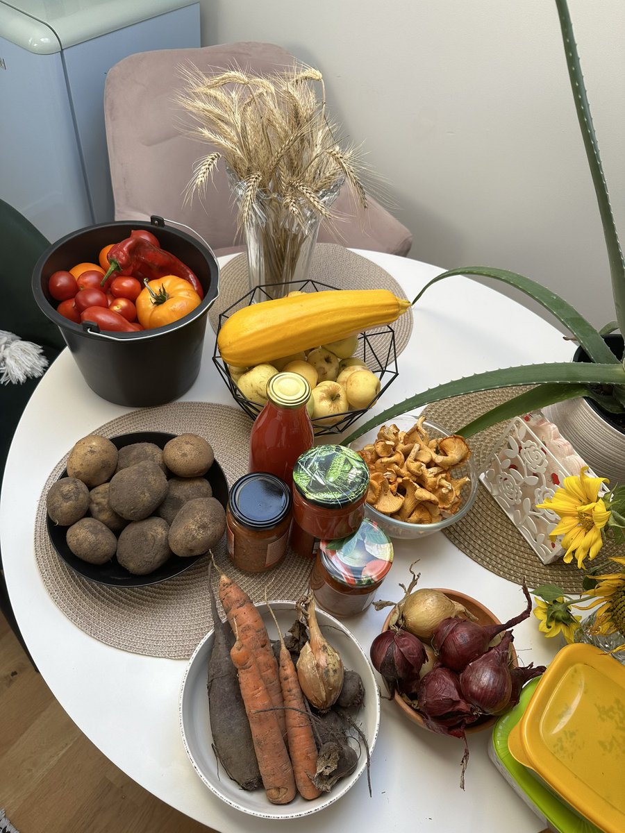 kerli_zirk's tweet photo. Kui emps “mõned” asjad linna kaasa paneb, peab ka kõige köögikaugem kodanik küpsetusvormi endale ostma 🙈 https://t.co/B7Fw8t5piz