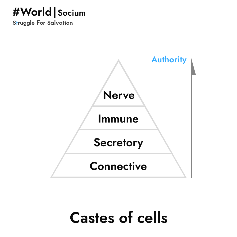 ashnightstudio's tweet photo. Сaste system of cells 🔼

🟰 In Organism, all cells are equal, yes, someone has more opportunities, but this is only related to their work

⬆️ Castes only show authority to cell types in the eyes of others

#gamedev #indiedev #indiegame https://t.co/6cB1g9IUV3