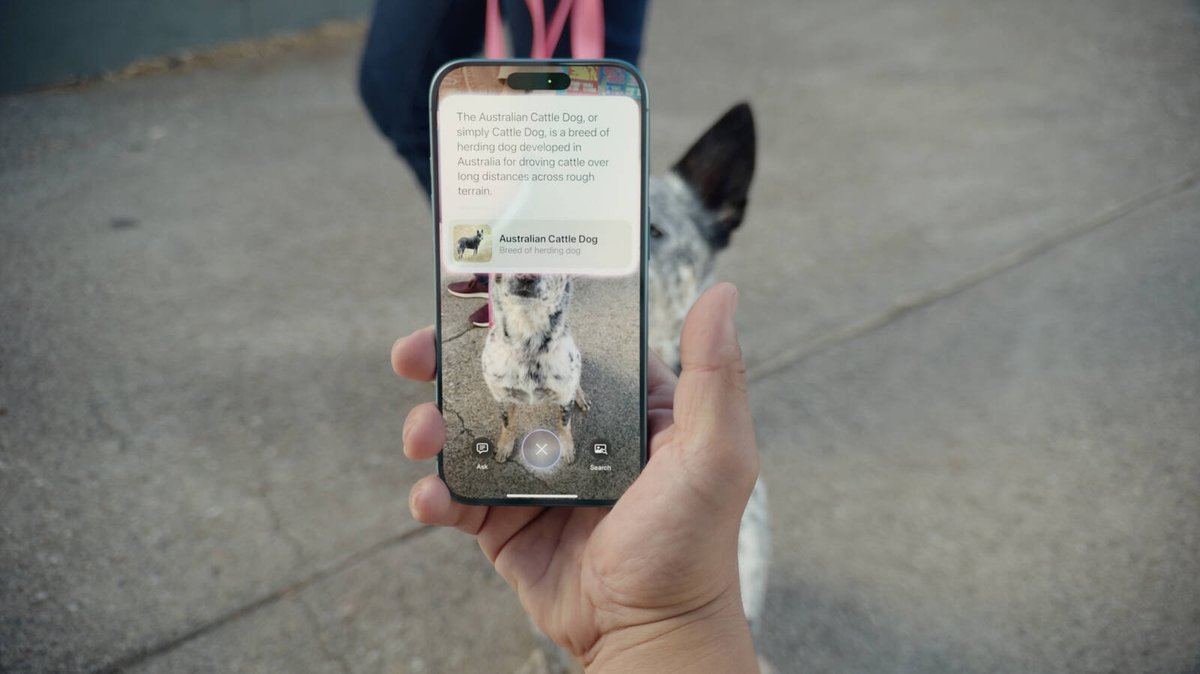 There's an iPhone 16 exclusive Apple Intelligence feature! Visual Intelligence works with the Camera Control button. You can click and hold the camera control and point your iPhone at something, then your iPhone can instantly pull up info about it. Show it a restaurant, for