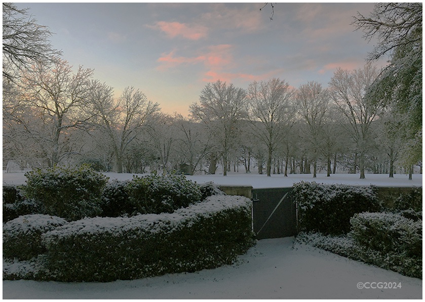 CLARKCGRAVES13's tweet photo. @Gez56 @DailyPicTheme2 #earlymorning #snowintexas https://t.co/ZnN6UQBm4V