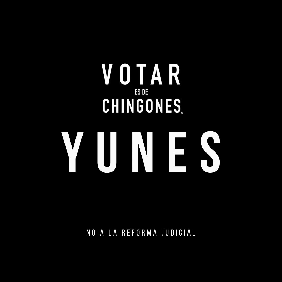 lauragarza's tweet photo. Oye @MYunesMarquez @YoconYunes
Se de los chingones y no de los que nos quieren chingar. 👊🏻
#VotarEsDeChingones #NoTeVendas
#NoALaReformaAlPoderJudicial
#43de43 #Senadores https://t.co/KSyesdUw4E