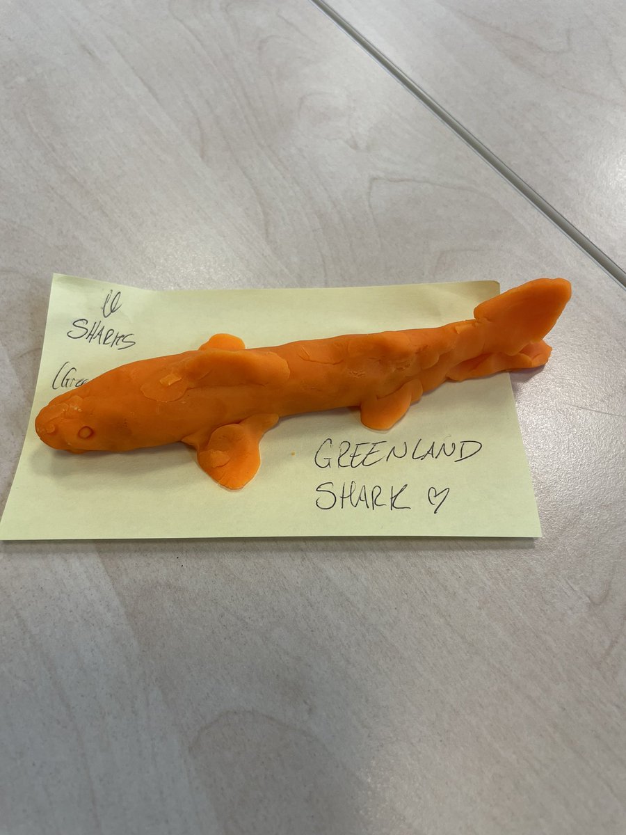 Susan Fitzer tweet media