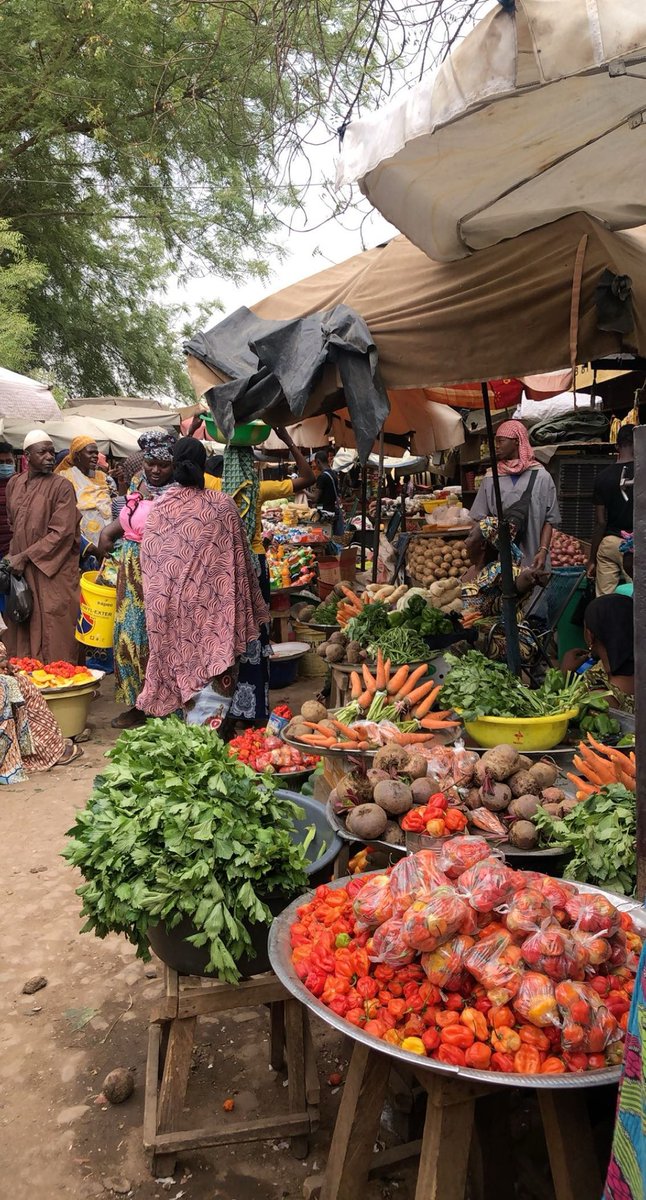 🦋 مريم tweet media