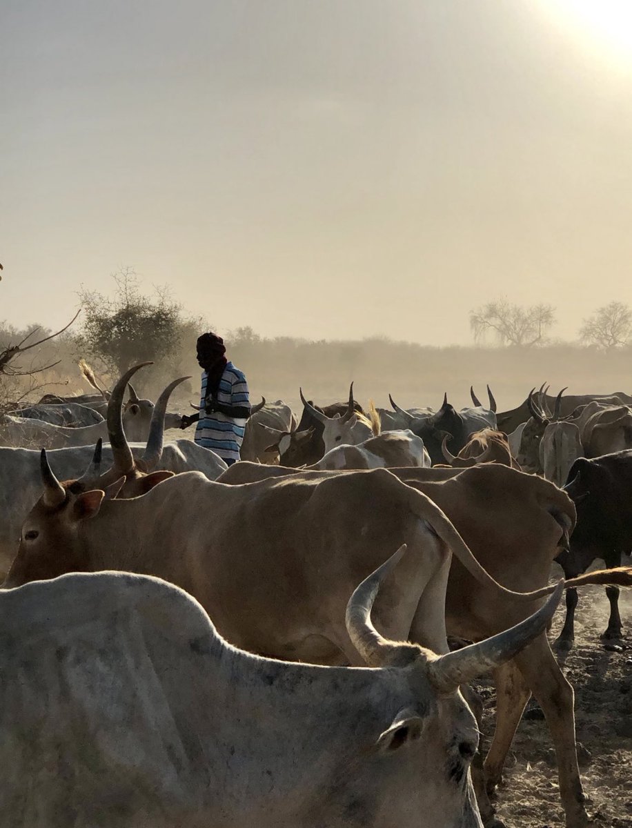 🦋 مريم tweet media