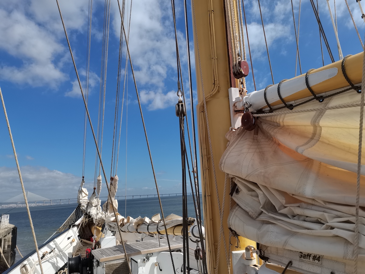 Gorringe: Expedição parte de Lisboa para descobrir as espécies da maior montanha da Europa Ocidental wilder.pt/historias/gorr…