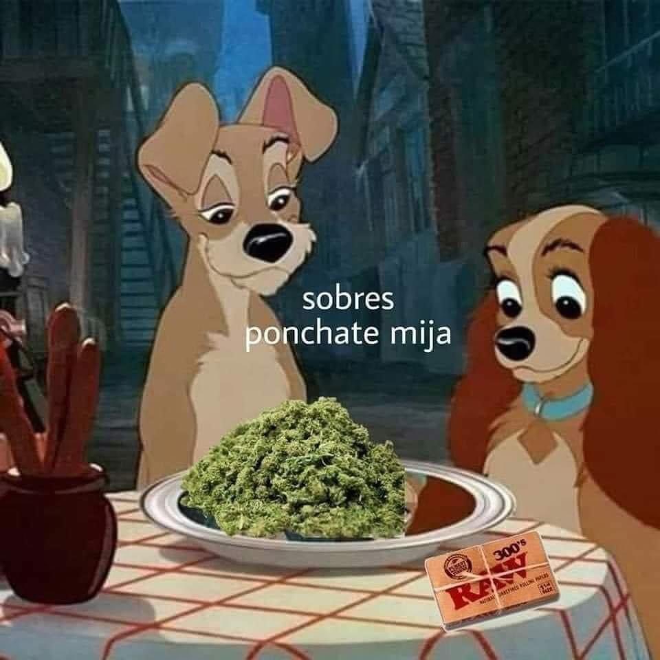 Angel Artesano ॐ (@angeel_artesano) on Twitter photo 