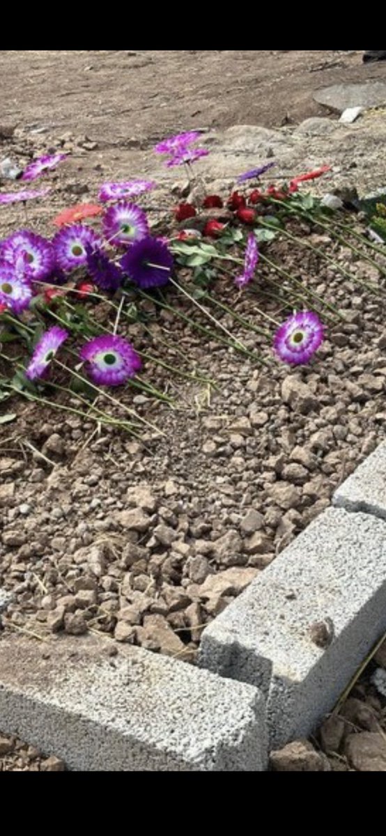 Bu çocuk küçücüktü, çuvala sığacak kadar.
Bu mezar da küçücük,
iyi bakın beyler, bacılar, ağalar.
O küçücük çocuktu da bu küçücük mezara nasıl sığar?
Örselenmiş her çocuğun Türkiye kadar öfkesi var,
elbet birgün hesabını sorar!
er ya da geç, ama illaki sorar❗️
Şerefsiz korkaklar.