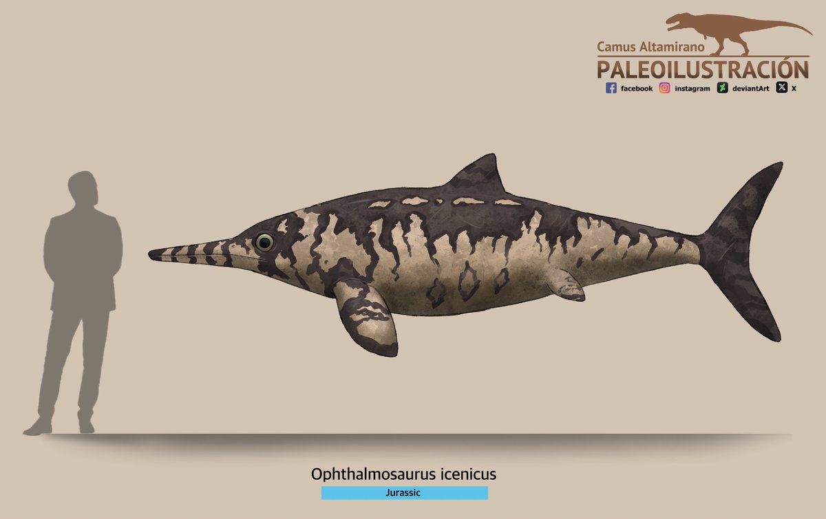 CamusAltamirano's tweet photo. Continuing with the current reconstructions of episode 3 of "#Walkingwithdinosaurs", today we see the protagonist of the episode, the #Ophthalmosaurus and #Cryptoclidus. Two more species and we're done. https://t.co/FXPBcCYrGf
