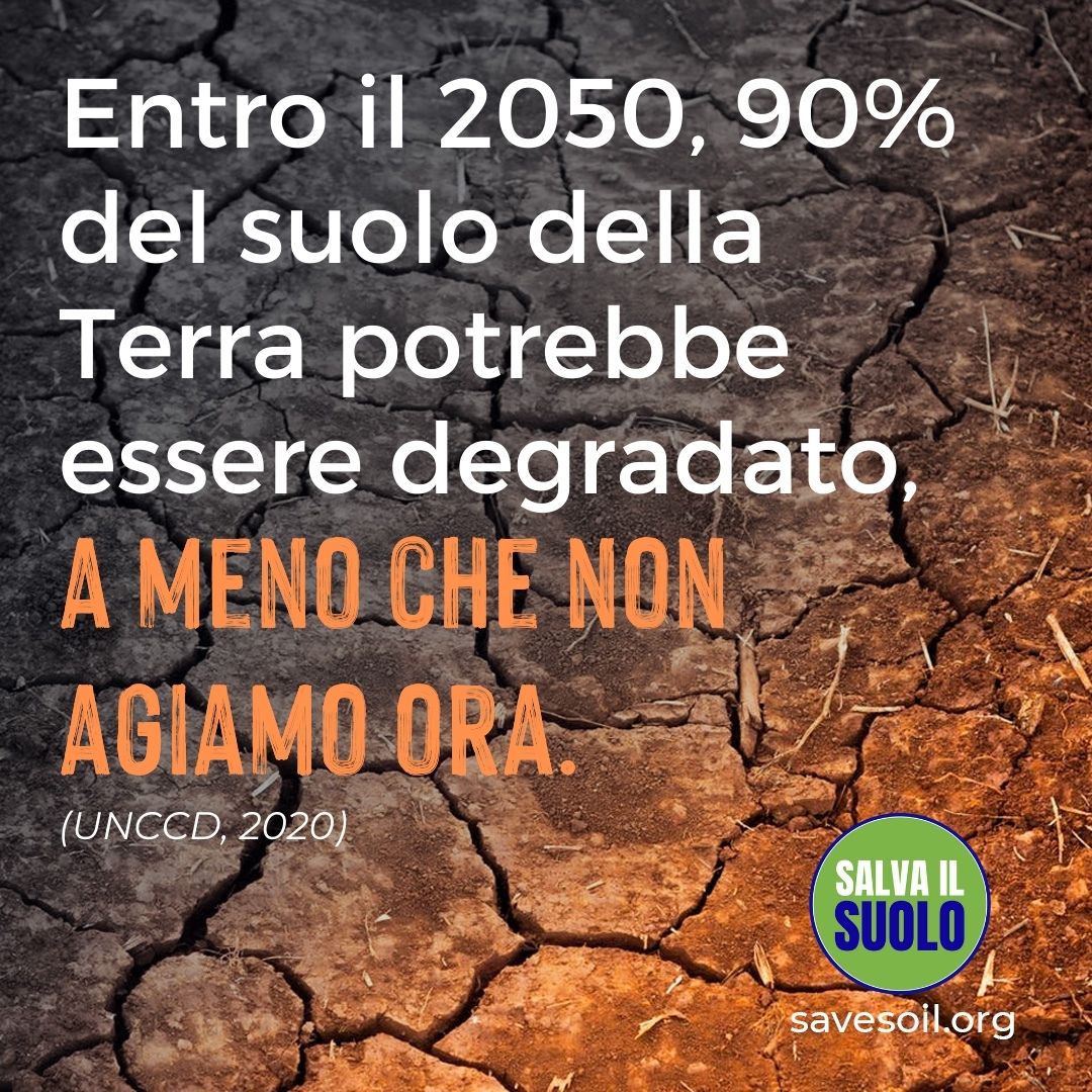 Un ringraziamento a <a href="/LecceSette/">LecceSette</a> per questo articolo!
➡️leccesette.it/salutesette/98…

Il movimento Salva il Suolo si impegna a diffondere la consapevolezza sull'importanza di un Suolo sano, per la salute umana e la biodiversità. 🌳
➡️ savesoil.org

#SaveSoil <a href="/cpsavesoil/">Conscious Planet #SaveSoil</a>