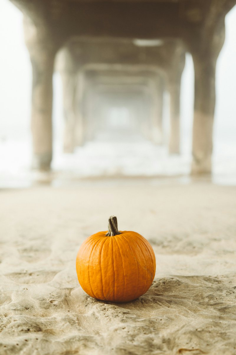 Stay with us this autumn 🎃

From crisp morning walks along the beach to tasty afternoon teas in our lounge we really are the perfect place for a little post summer getaway. 

Find out more &amp; book 👉 royalvichotel.co.uk

#hastings #stleonardsonsea #autumnvibes #visitengland