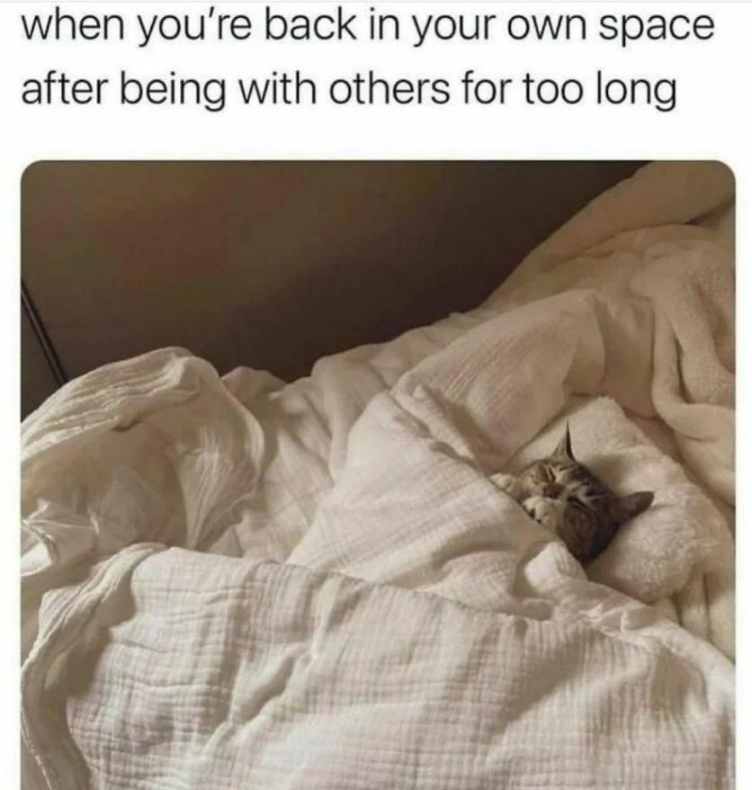 WholesomeMemes (@wholesomememe) on Twitter photo 